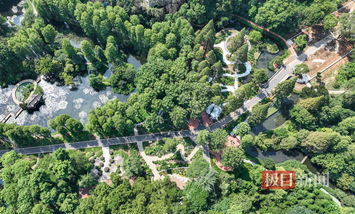 欢乐炸三张